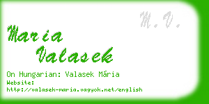 maria valasek business card